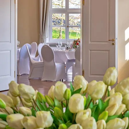 Schloss Rattey - Haus Weinwerk 酒店 *