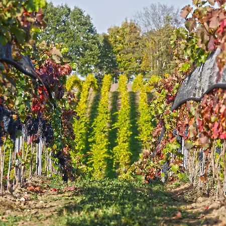 Schloss Rattey - Haus Weinwerk